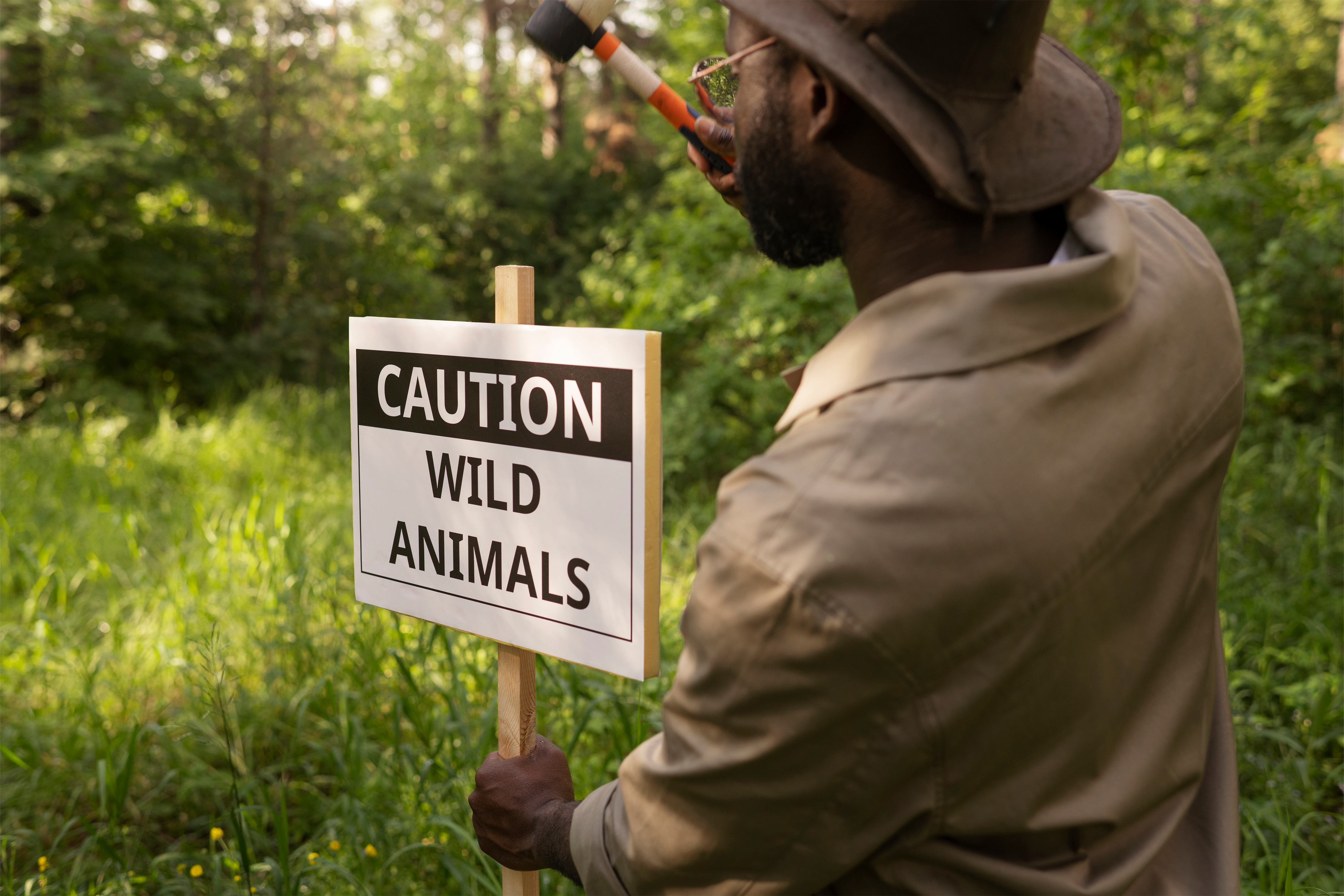 Wildlife